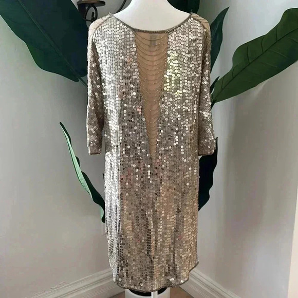 Haute Hippie XS Silver Sequence dress - Picture 8 of 12